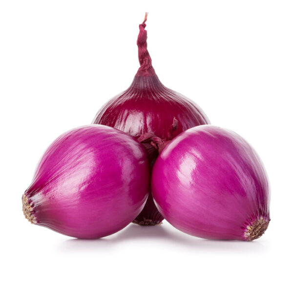 RED ONIONS